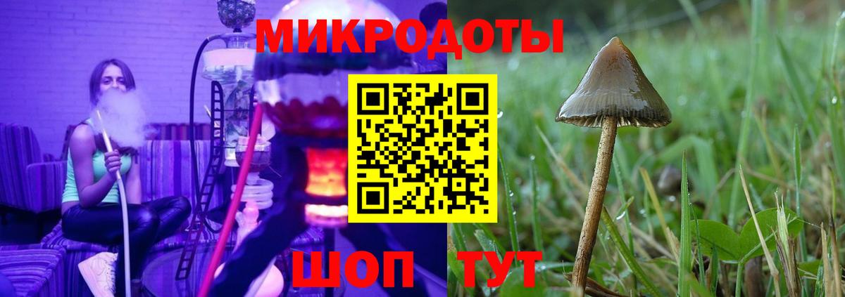 Галлюциногенные грибы мицелий Кемерово
